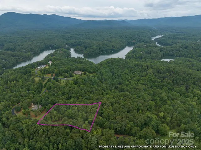 a view of a green yard with large trees