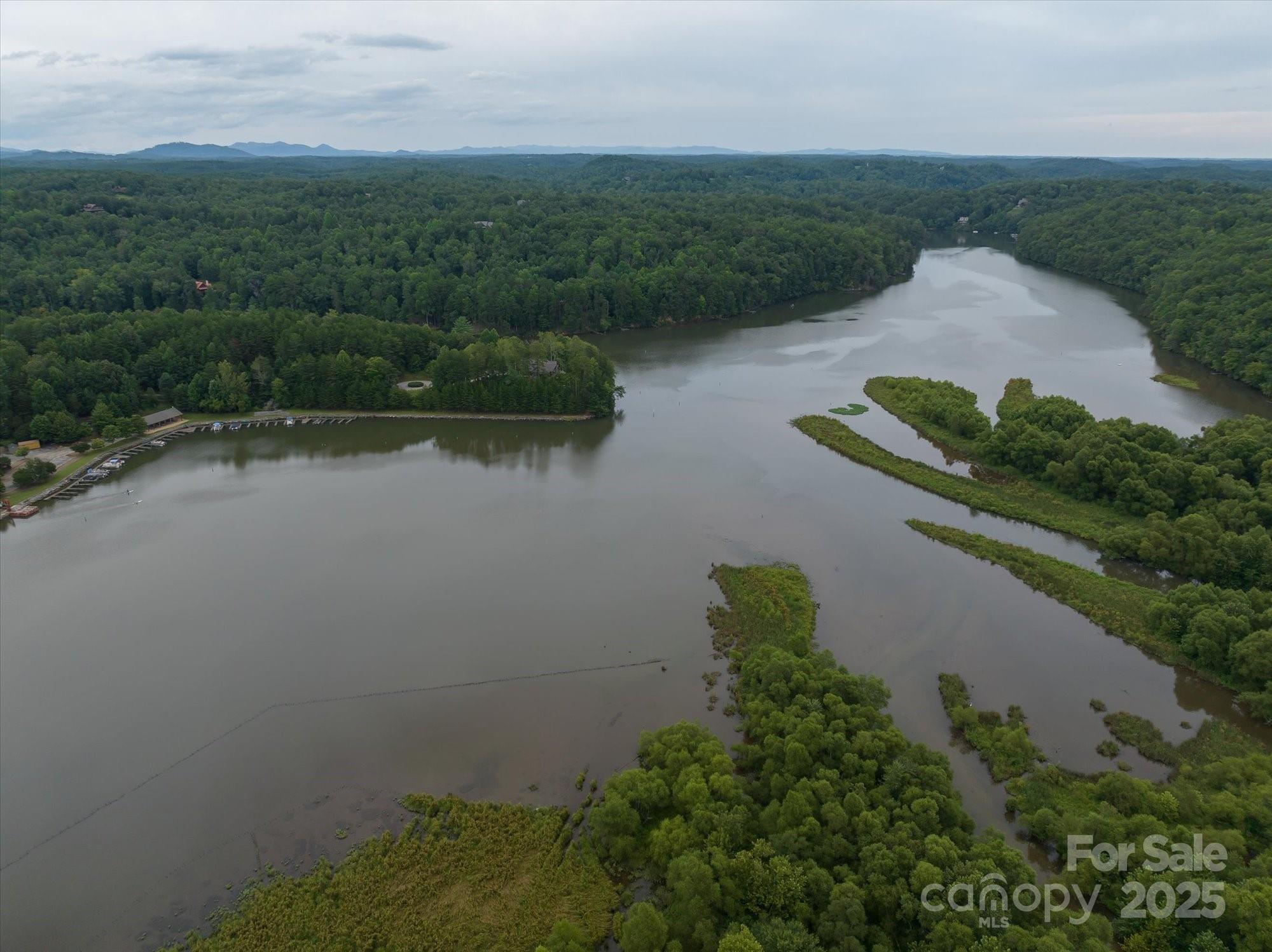 0 Twin Maple Way, Unit 5 Mill Spring, NC 28756 - Photo 11 of 16 an aerial view of a house with a yard and lake view