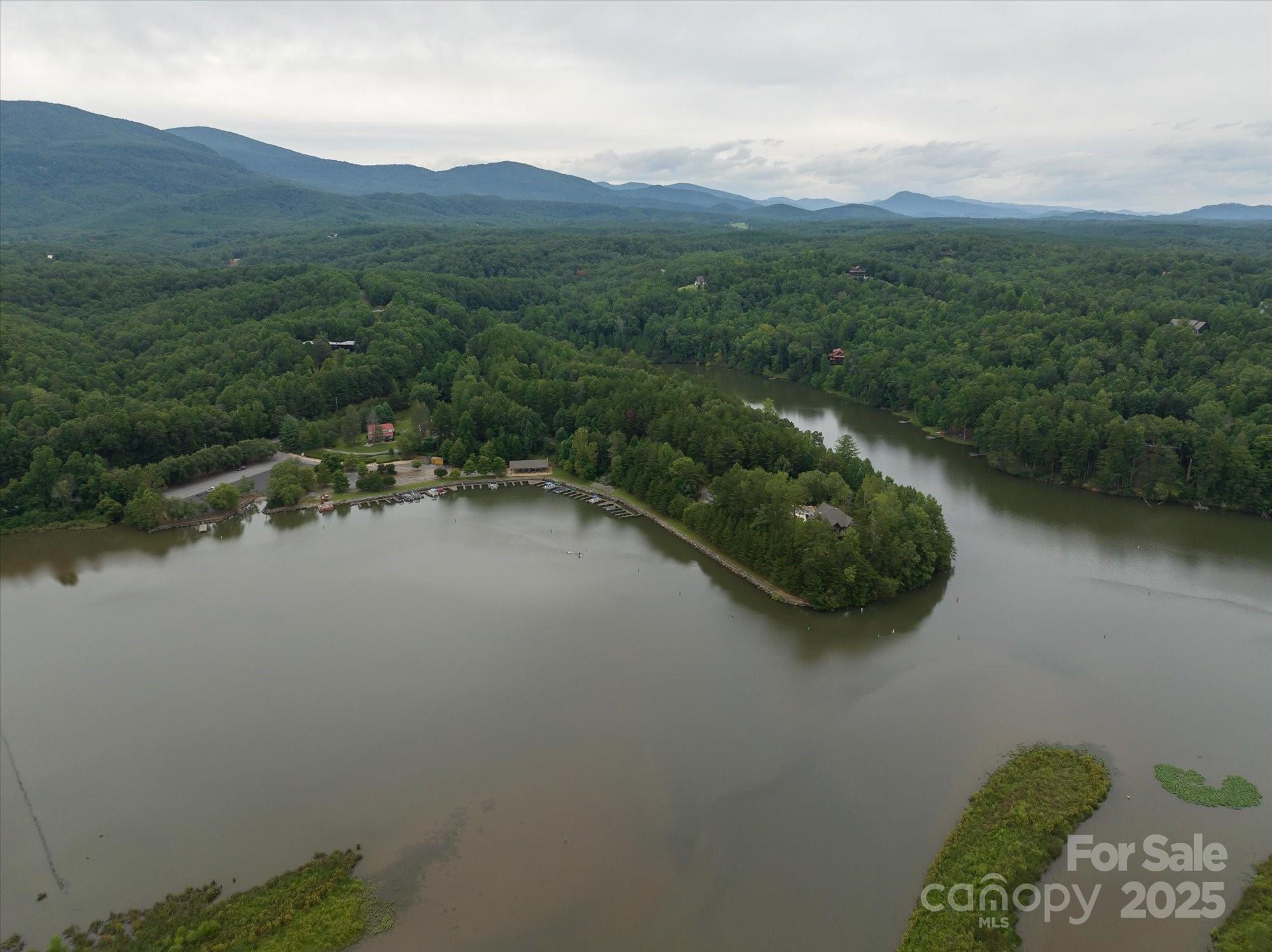 0 Twin Maple Way, Unit 5 Mill Spring, NC 28756 - Photo 12 of 16 a view of a lake with a mountain in the background