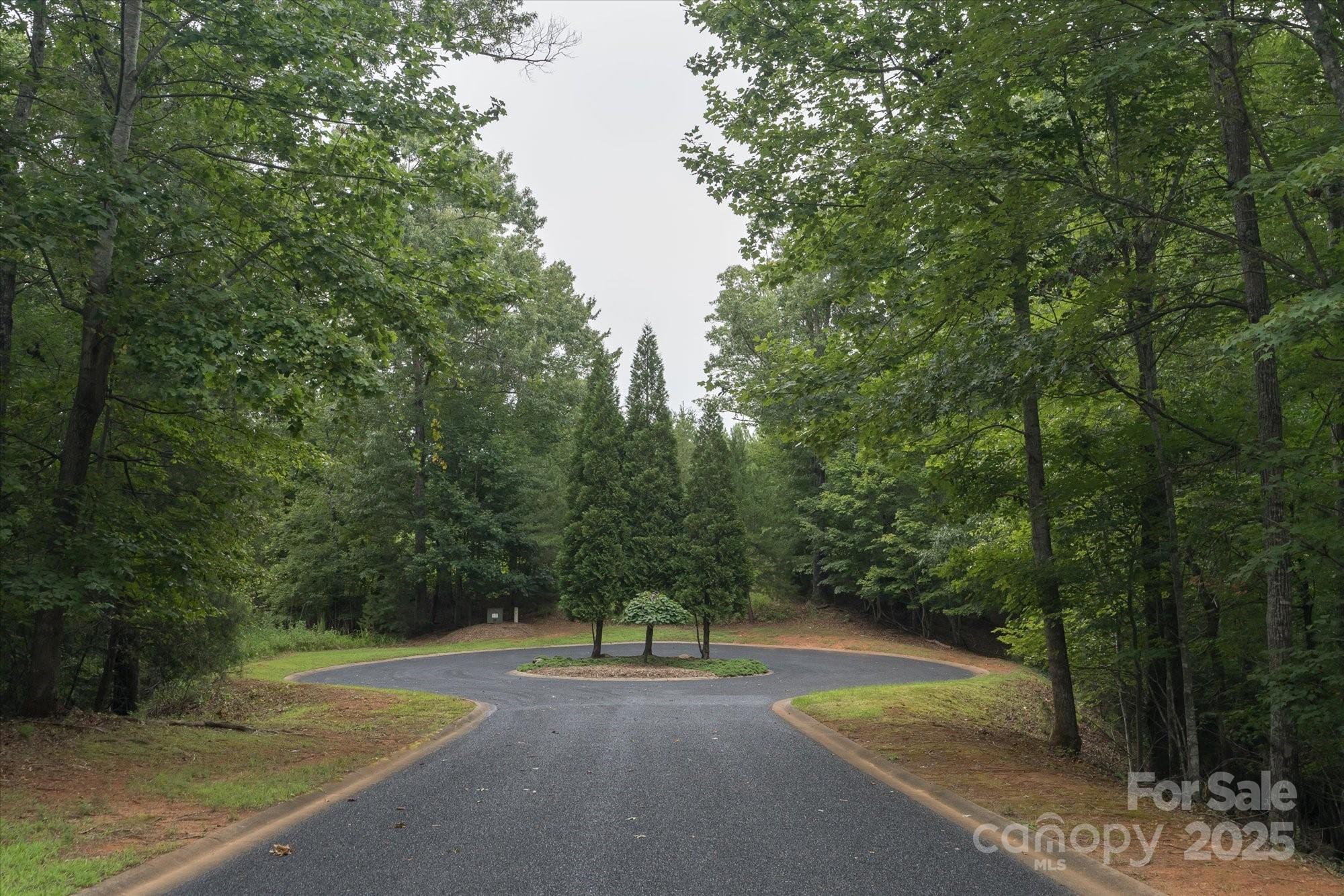 0 Twin Maple Way, Unit 5 Mill Spring, NC 28756 - Photo 15 of 16 a view of a park