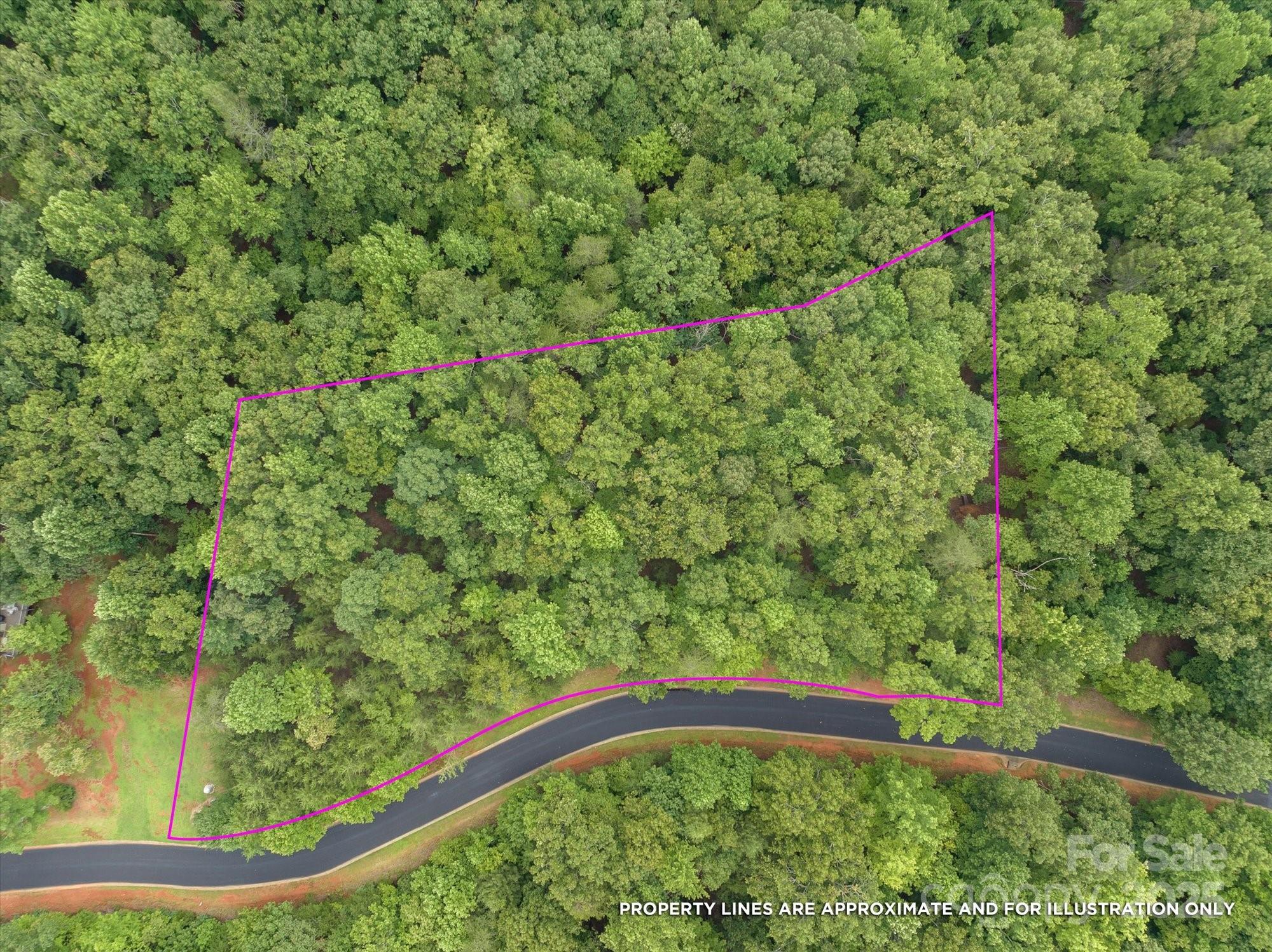 0 Twin Maple Way, Unit 5 Mill Spring, NC 28756 - Photo 2 of 16 a view of a yard