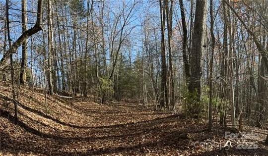 0 Twin Maple Way, Unit 5 Mill Spring, NC 28756 - Photo 4 of 16 a view of a yard with large trees
