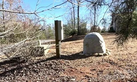 a view of a yard with a tree