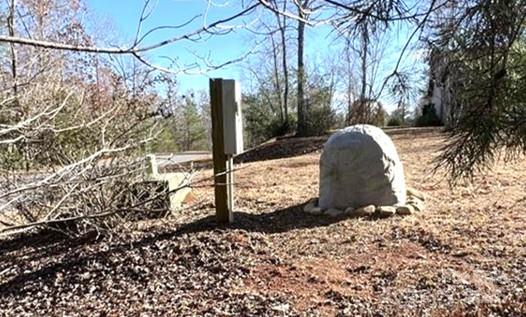 0 Twin Maple Way, Unit 5 Mill Spring, NC 28756 - Photo 5 of 16 a view of a yard with a tree