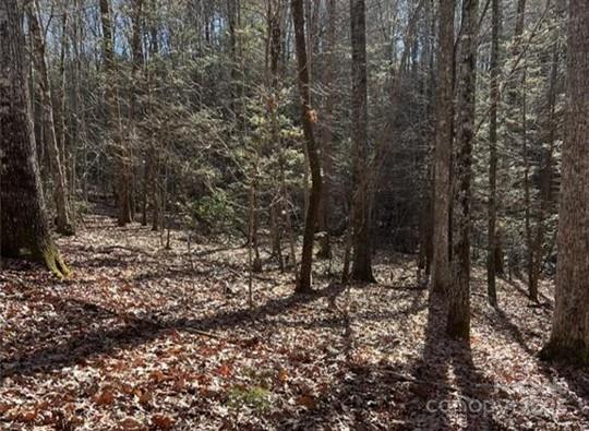 0 Twin Maple Way, Unit 5 Mill Spring, NC 28756 - Photo 6 of 16 a view of a forest with trees in the background