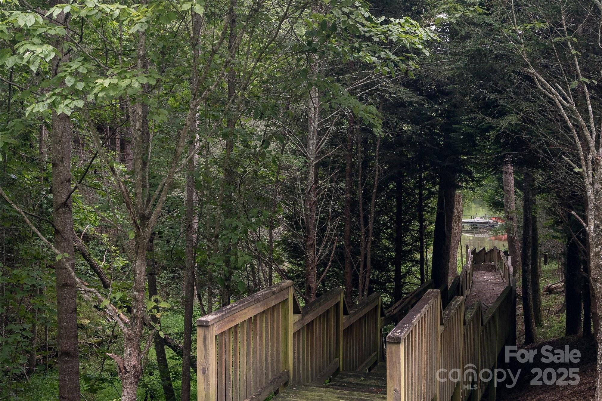 0 Twin Maple Way, Unit 5 Mill Spring, NC 28756 - Photo 10 of 16 a view of a house with a tree
