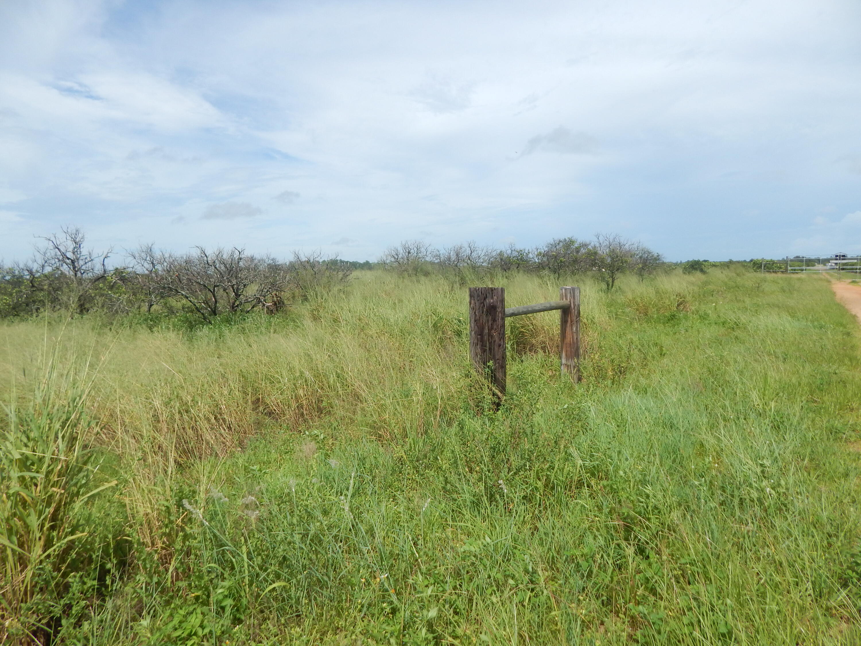 0 R Sullivan Road Frostproof, FL 33843 - Photo 2 of 6 a view of a lake from a yard