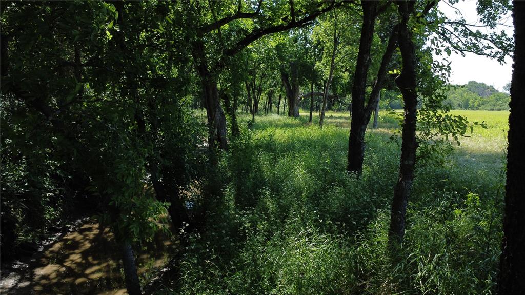 6490 Rector Road Sanger, TX 76266 - Photo 37 of 40