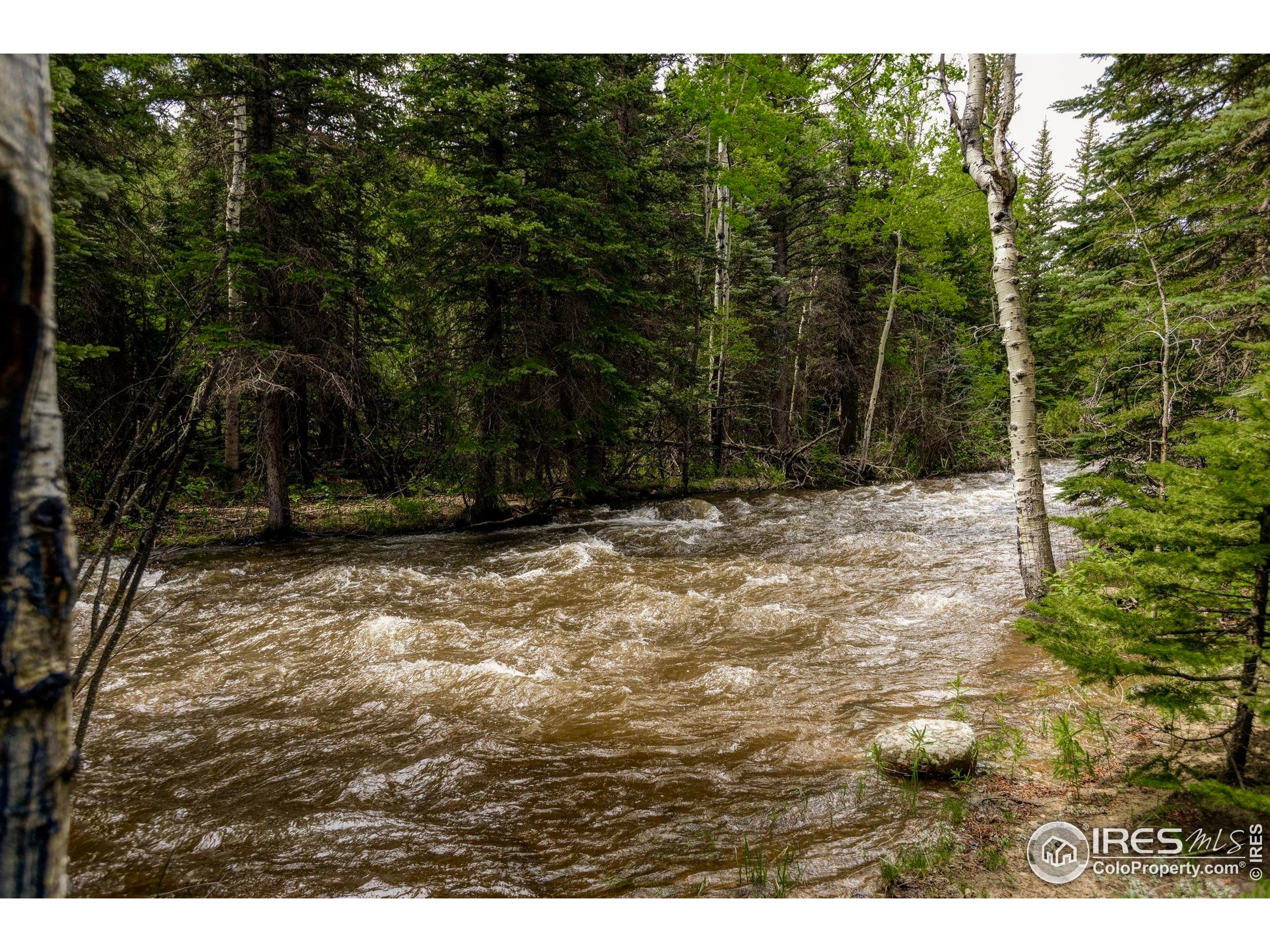 781 Cold Springs Road Boulder, CO 80302 - Photo 31 of 36 a view of outdoor space with trees