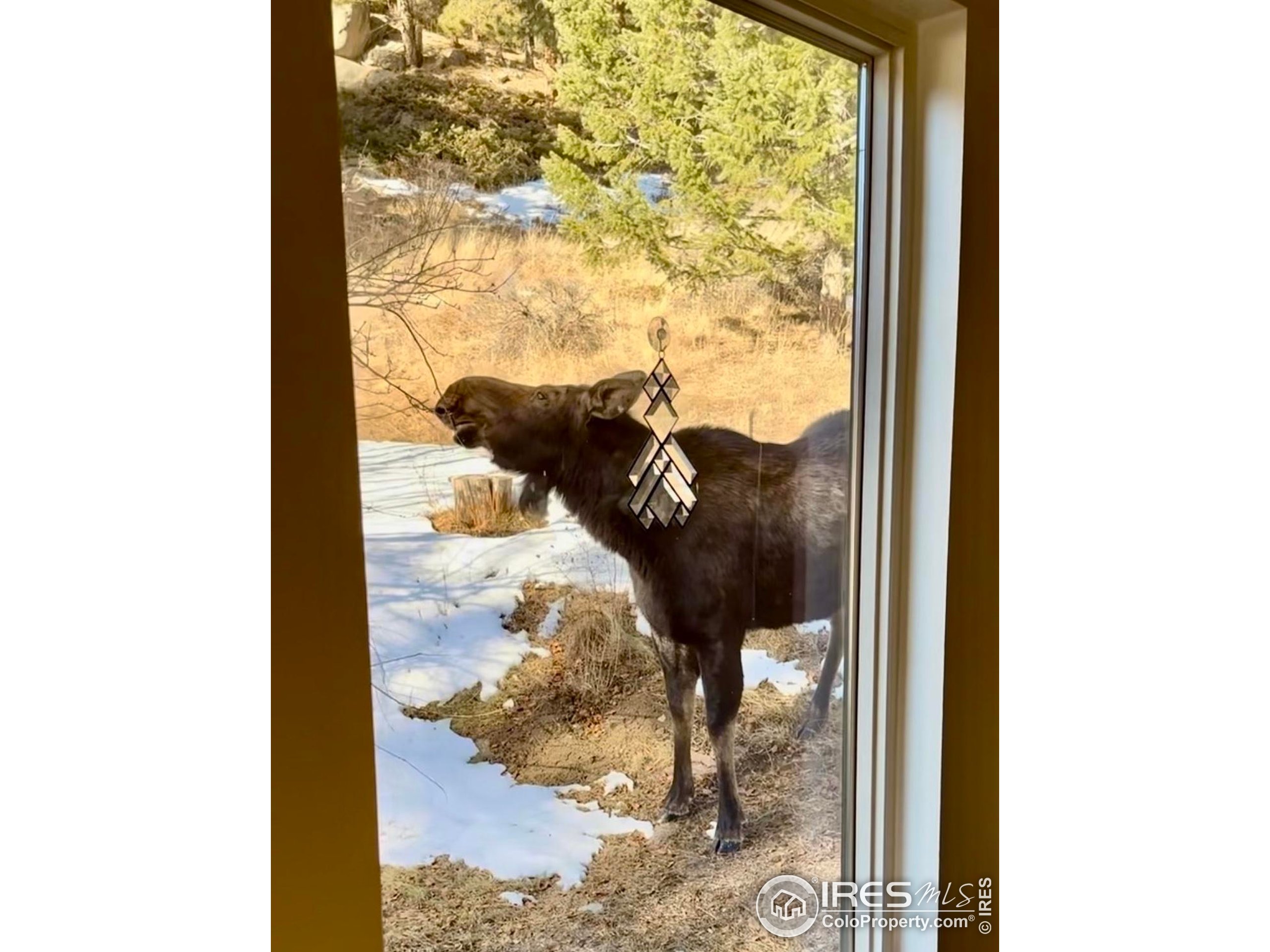 781 Cold Springs Road Boulder, CO 80302 - Photo 36 of 36 a view of a porch