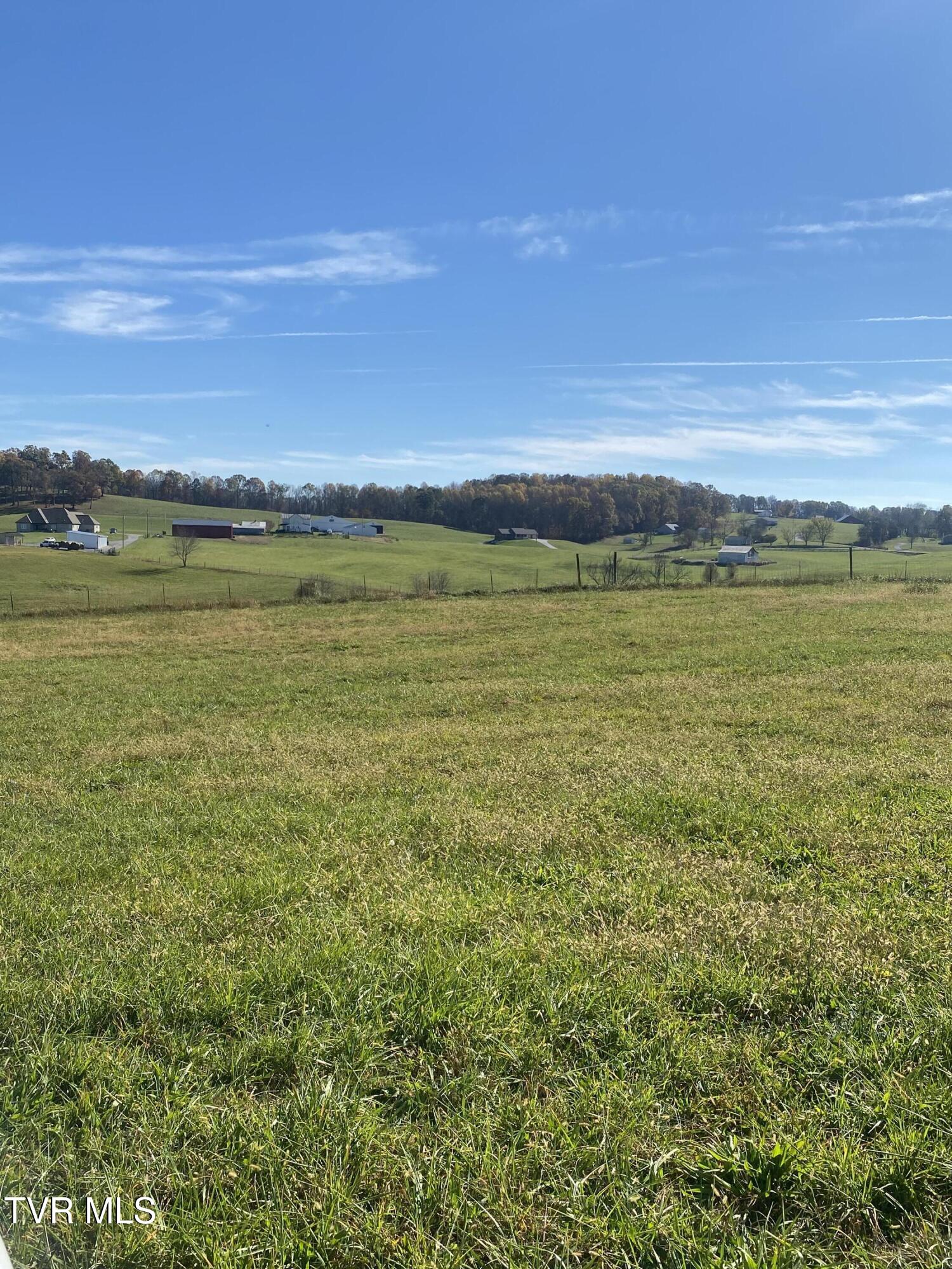 689 Painter Road Fall Branch, TN 37656 - Photo 13 of 32 IMG_3616