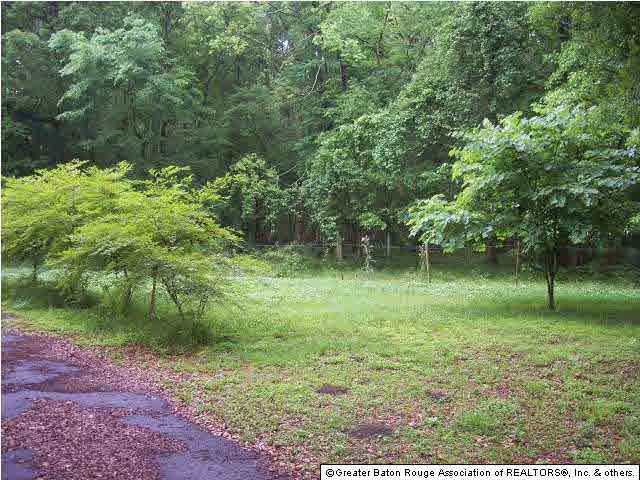 12146 Louis White Road Geismar, LA 70734 - Photo 4 of 4 Gallery Image 4