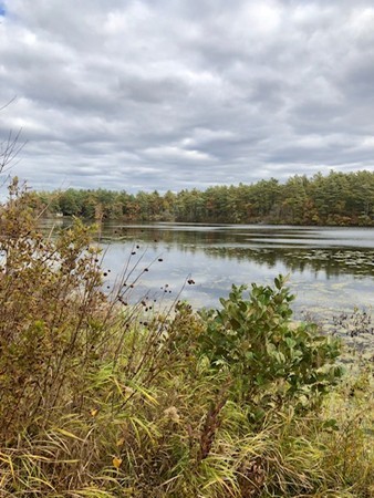 0 Hiller Road Rochester, MA 02770 - Photo 9 of 24 Gallery Image 9