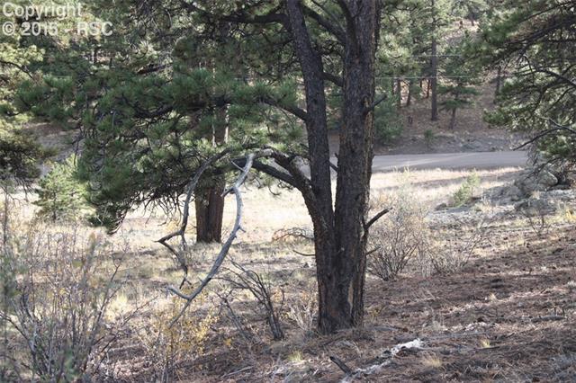 501 Stagecoach Road Guffey, CO 80820 - Photo 12 of 20 Gallery Image 12