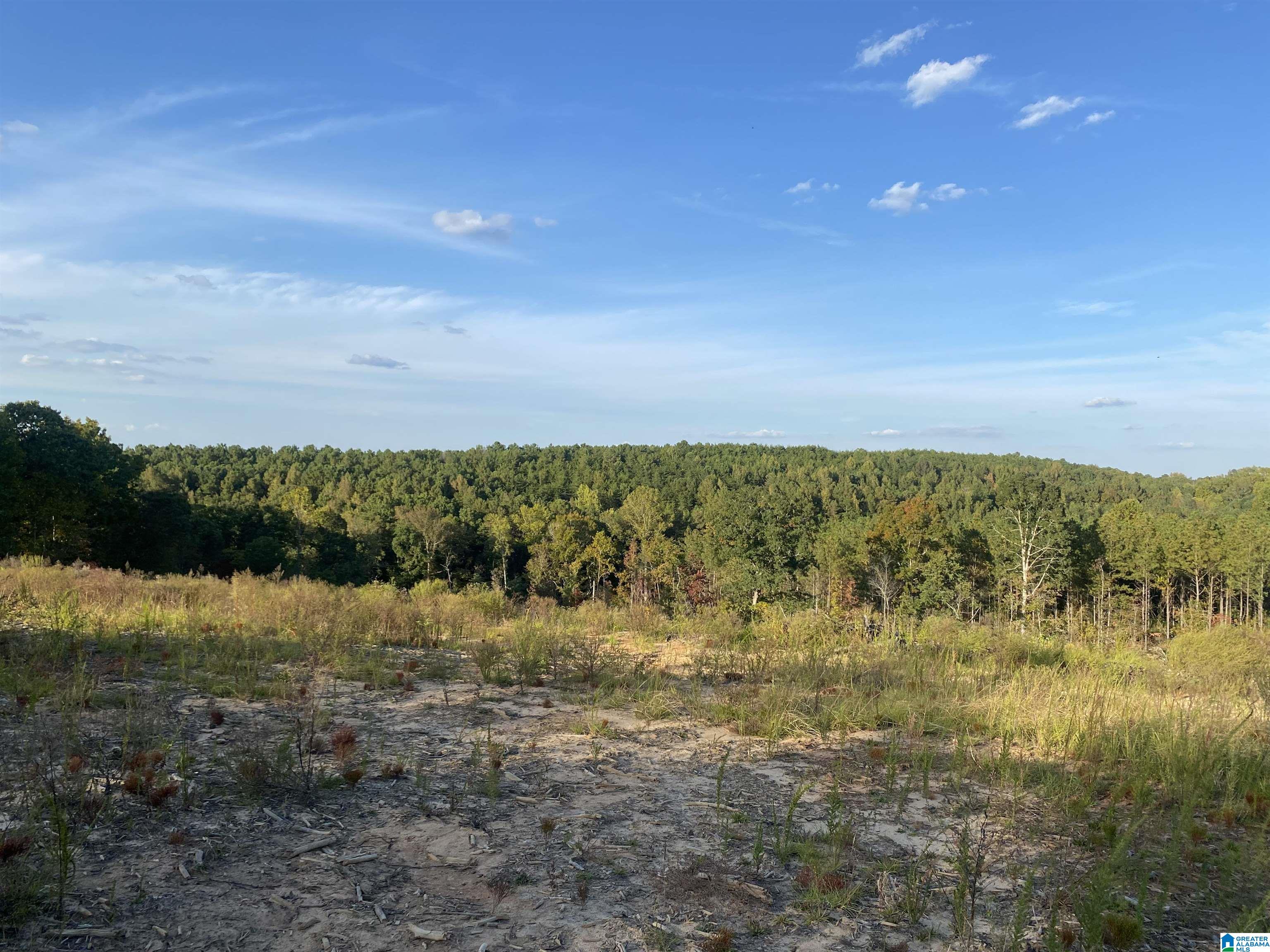 0 Frost Road, Unit 100 / ACRES Springville, AL 35146 - Photo 20 of 60