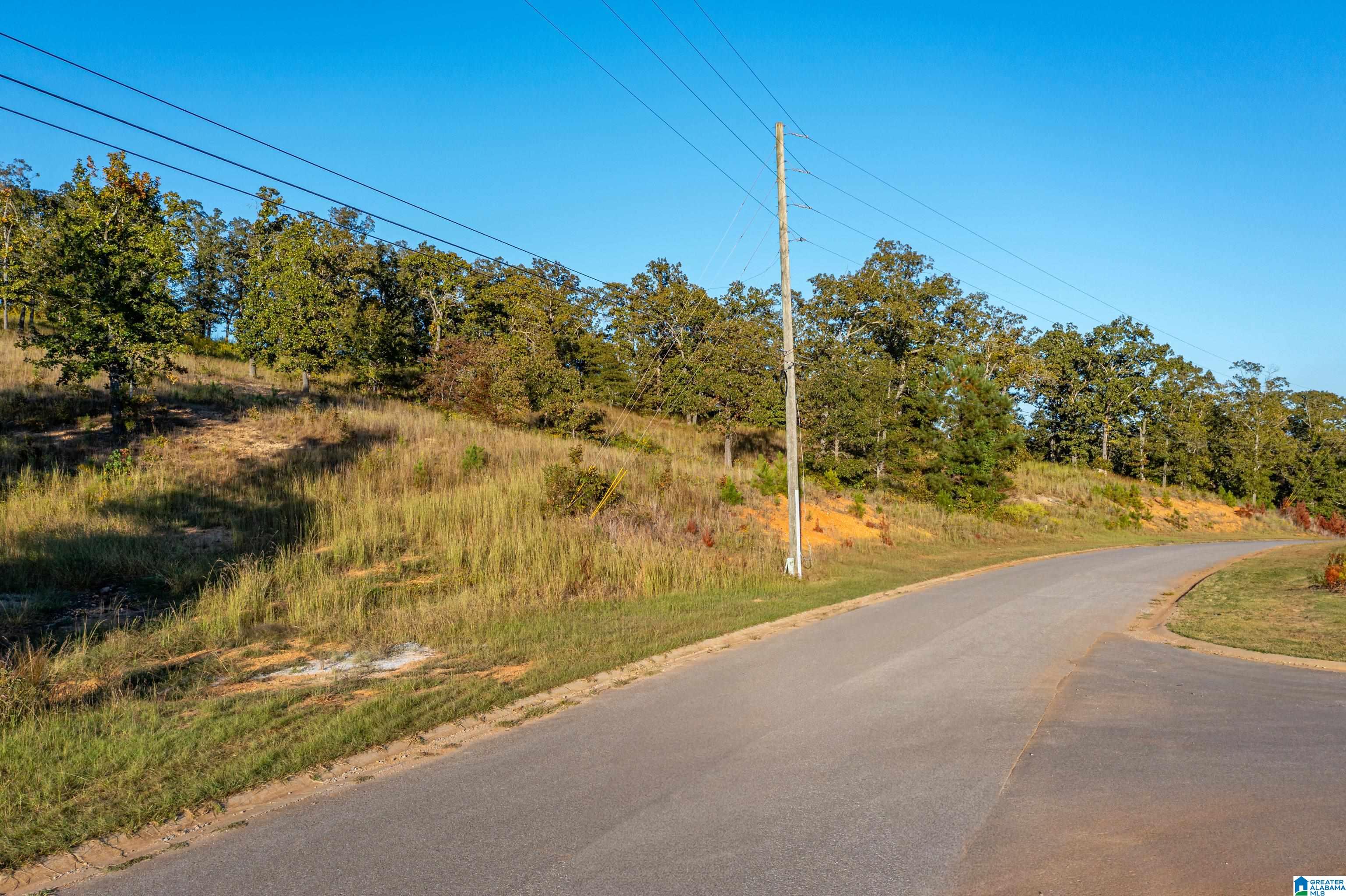 5002 Ranch Marina Road, Unit MULTI Pell City, AL 35128 - Photo 3 of 22