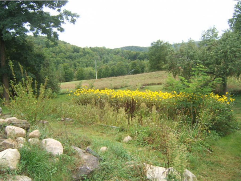 5011 Westminster W Road Westminster, VT 05346 - Photo 12 of 34 Gallery Image 12