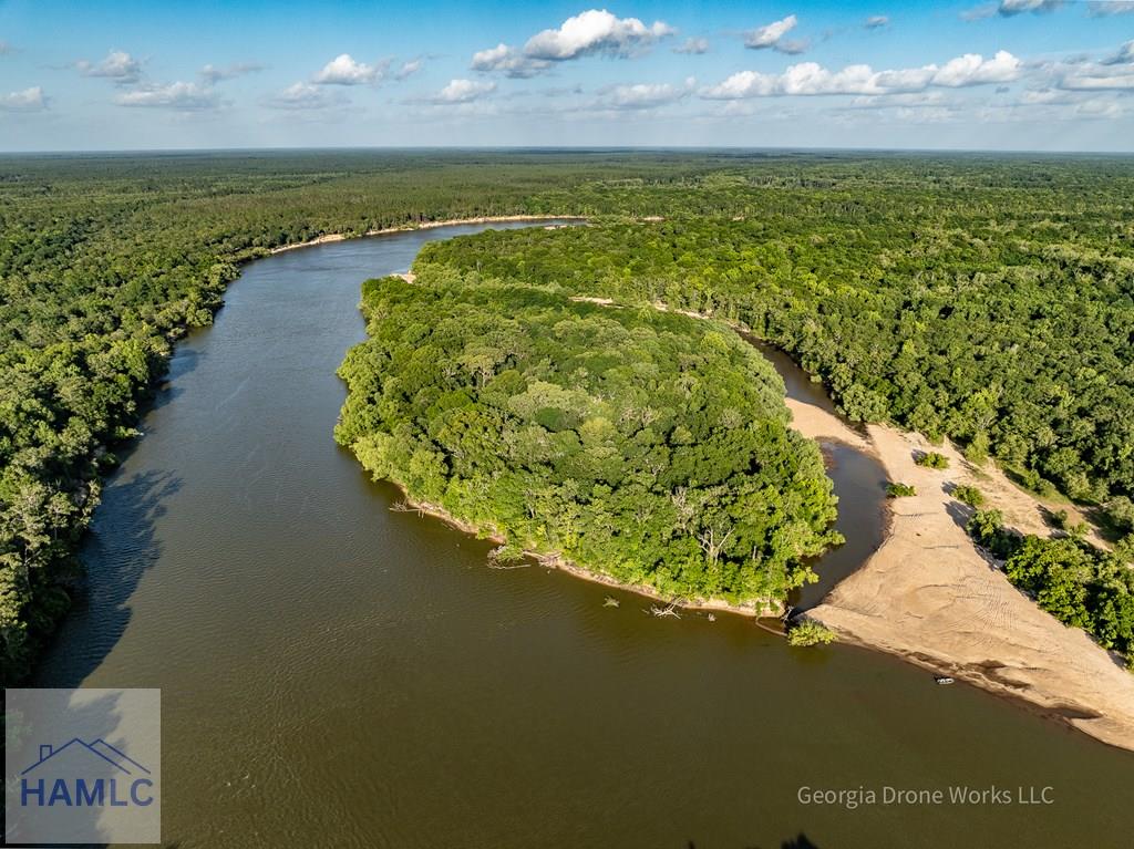 0 Old River Road Odum, GA 31555 - Photo 4 of 10 Gallery Image 4