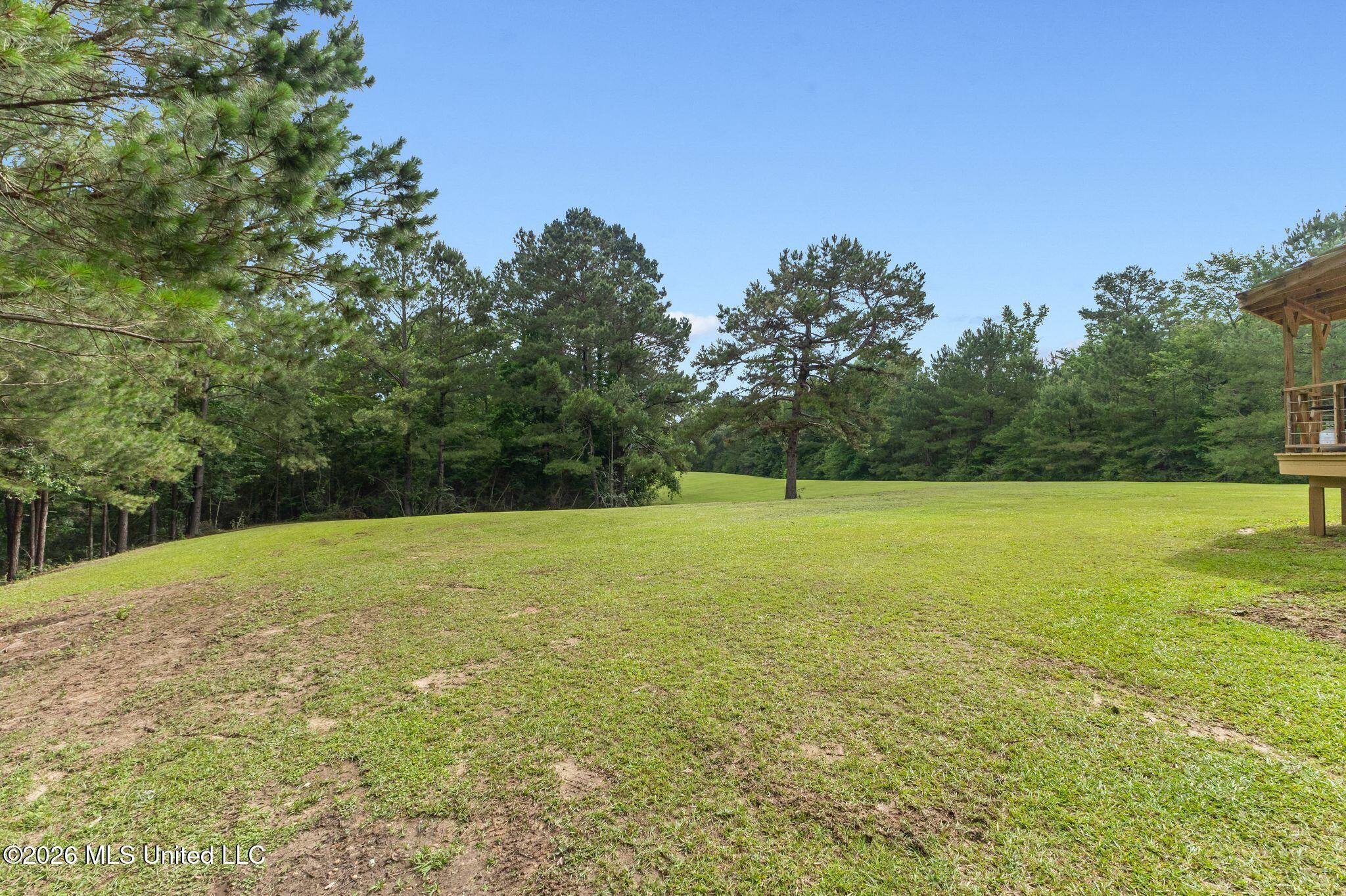 33 McMahan Cutoff Road Sumrall, MS 39482 - Photo 73 of 87 Exterior-73