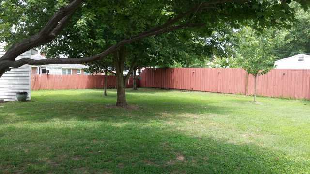 223 Lillian Road West Wilson, NC 27893 - Photo 15 of 16 Additional Photo