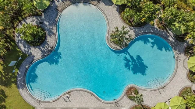 an aerial view of a swimming pool
