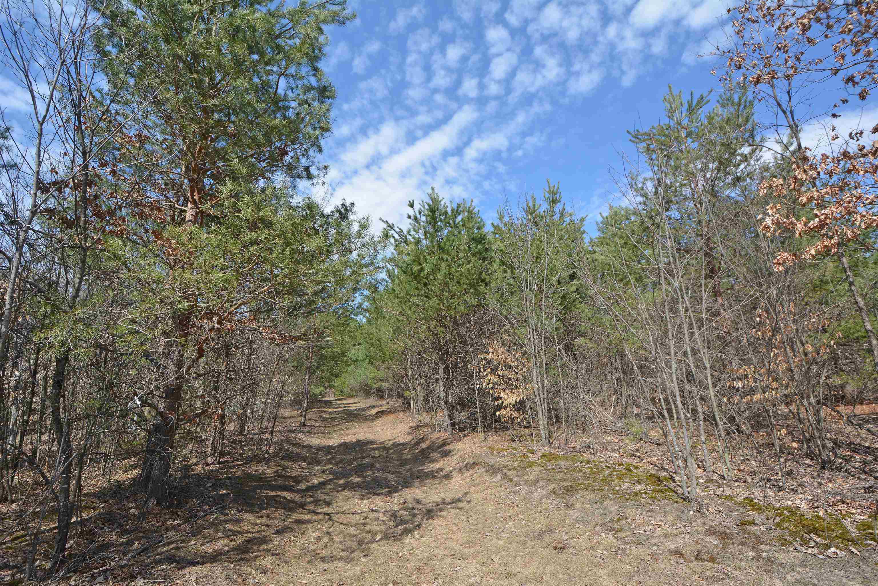 0 South Weldon Road Beulah, MI 49617 - Photo 10 of 11