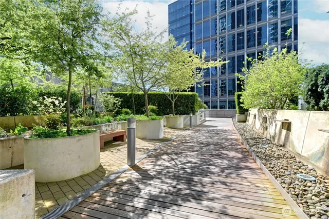 a view of a back yard