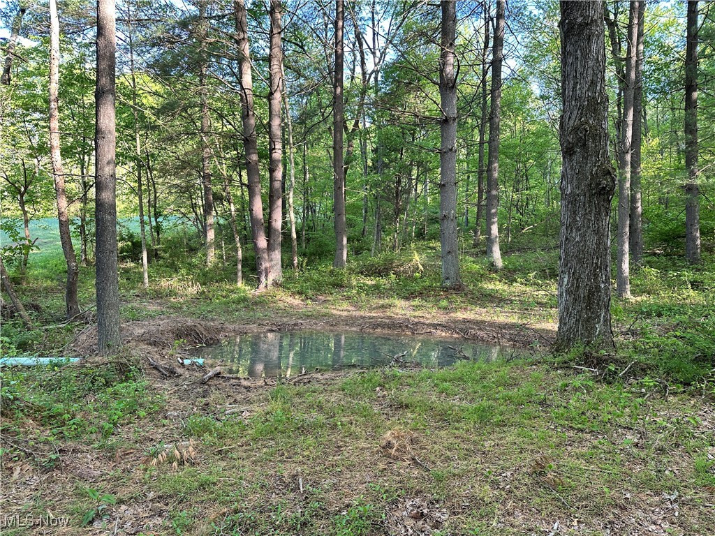 0 Layman Road Vincent, OH 45784 - Photo 20 of 28 View of local wilderness
