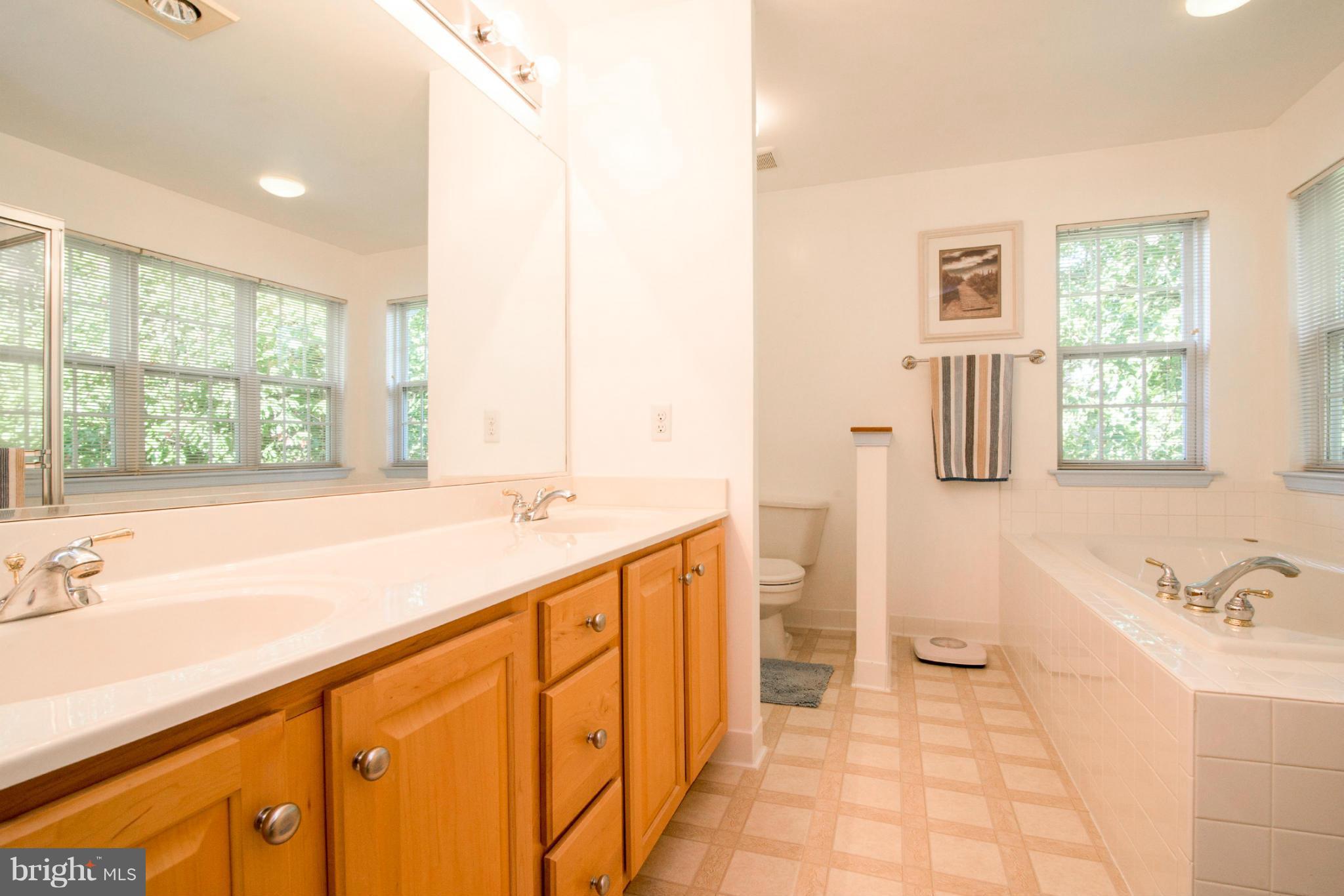3044 Shoreline Boulevard Laurel, MD 20724 - Photo 7 of 13 a spacious bathroom with a tub sink and mirror