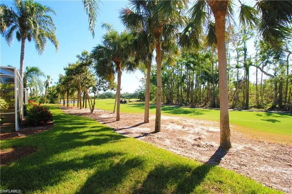 a view of a park with palm trees