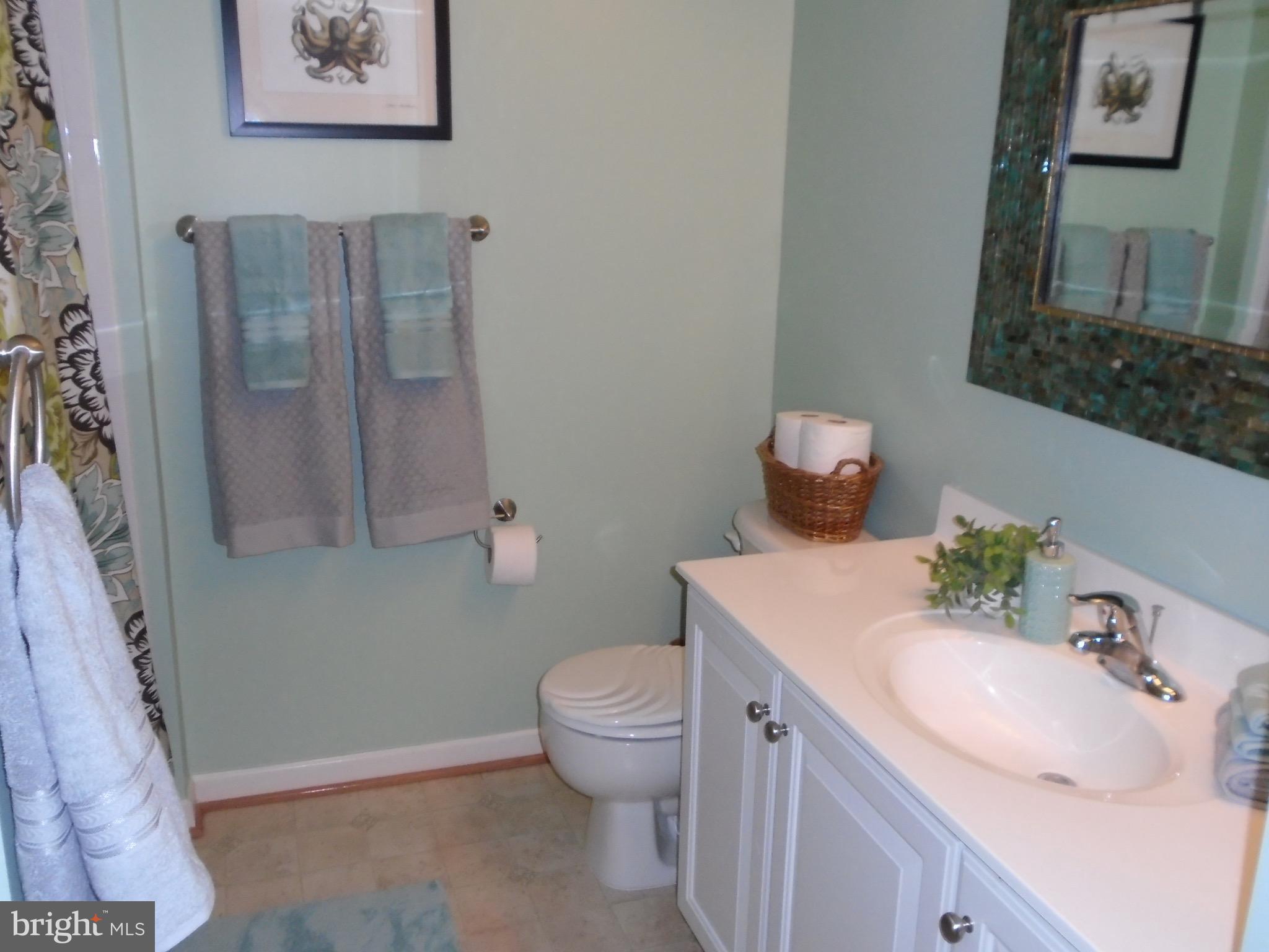 1243 Steed Street Ranson, WV 25438 - Photo 23 of 29 a bathroom with a sink toilet and a mirror