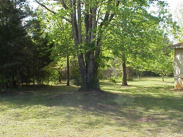 133 South Campbell Road Landrum, SC 29356 - Photo 19 of 19