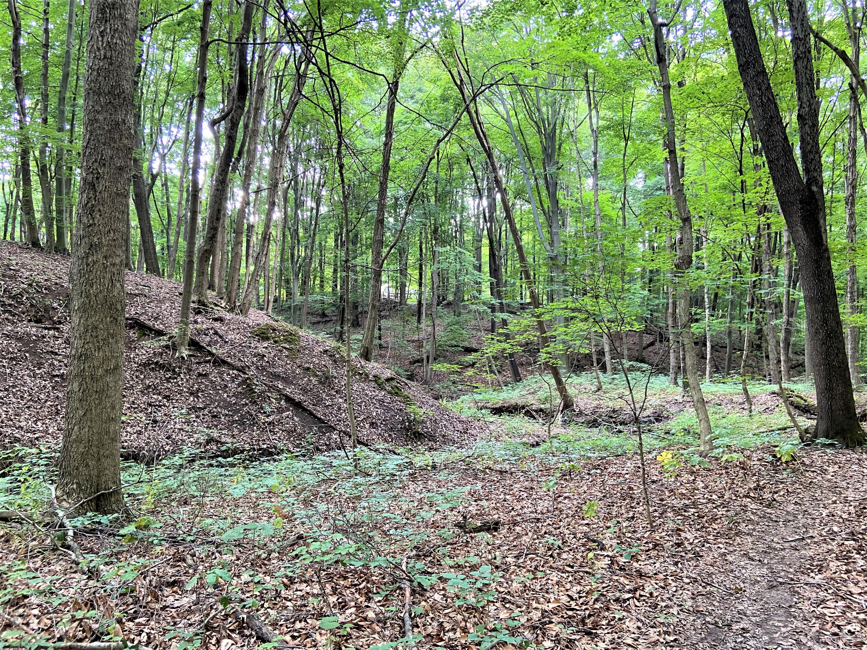 1366 Coonpath Road Northwest Lancaster, OH 43130 - Photo 10 of 49