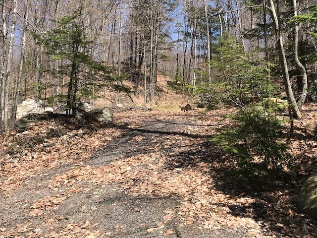 71 Qualey Road Gray, ME 04039 - Photo 10 of 19 Lot front