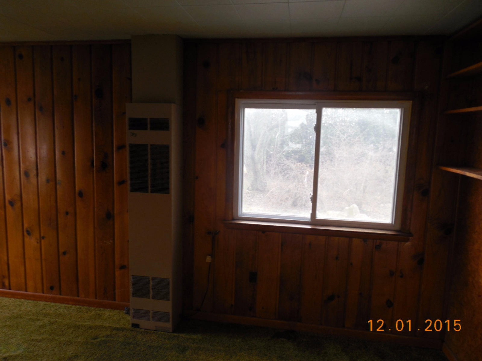204 South Dekrafft Avenue Big Rapids, MI 49307 - Photo 12 of 13 DSCN1140