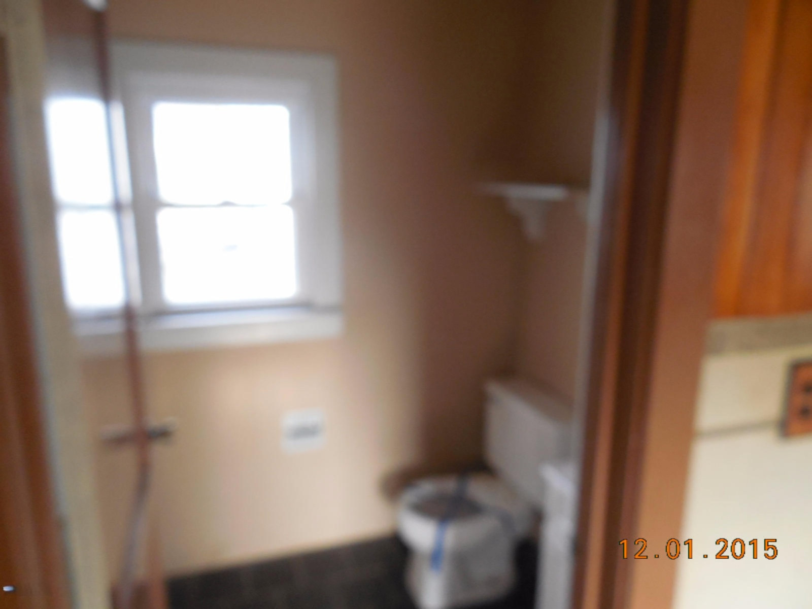 204 South Dekrafft Avenue Big Rapids, MI 49307 - Photo 8 of 13 DSCN1136