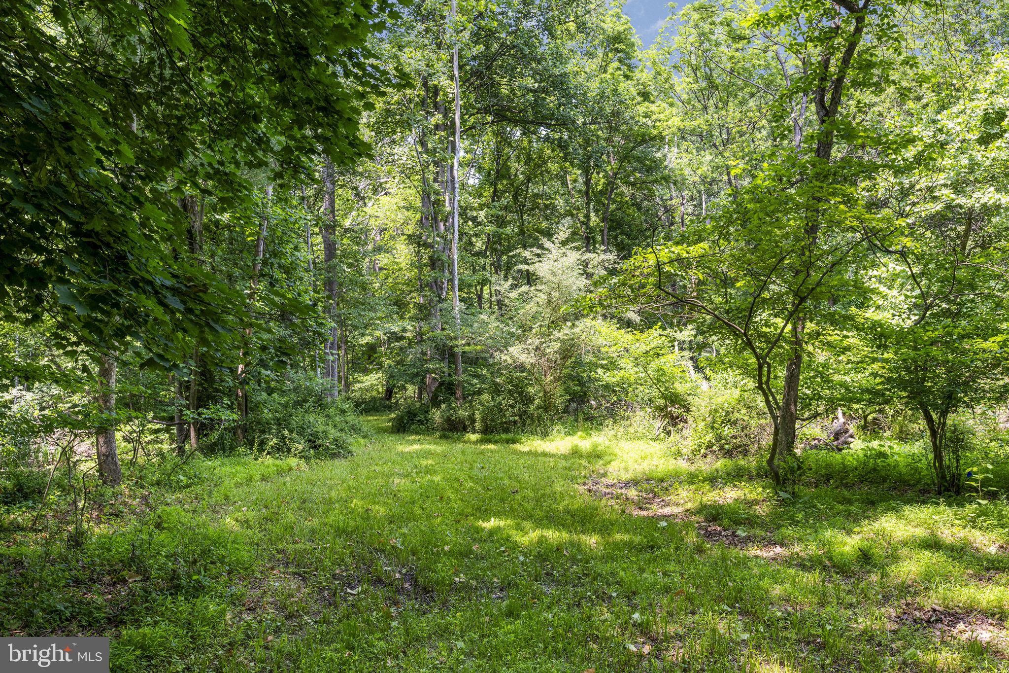 851 Creek Road Downingtown, PA 19335 - Photo 34 of 42 Gallery Image 34