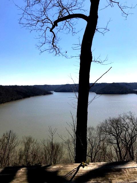 375 Dunn Ridge Road Baxter, TN 38544 - Photo 1 of 5 What a view from the deck!!
