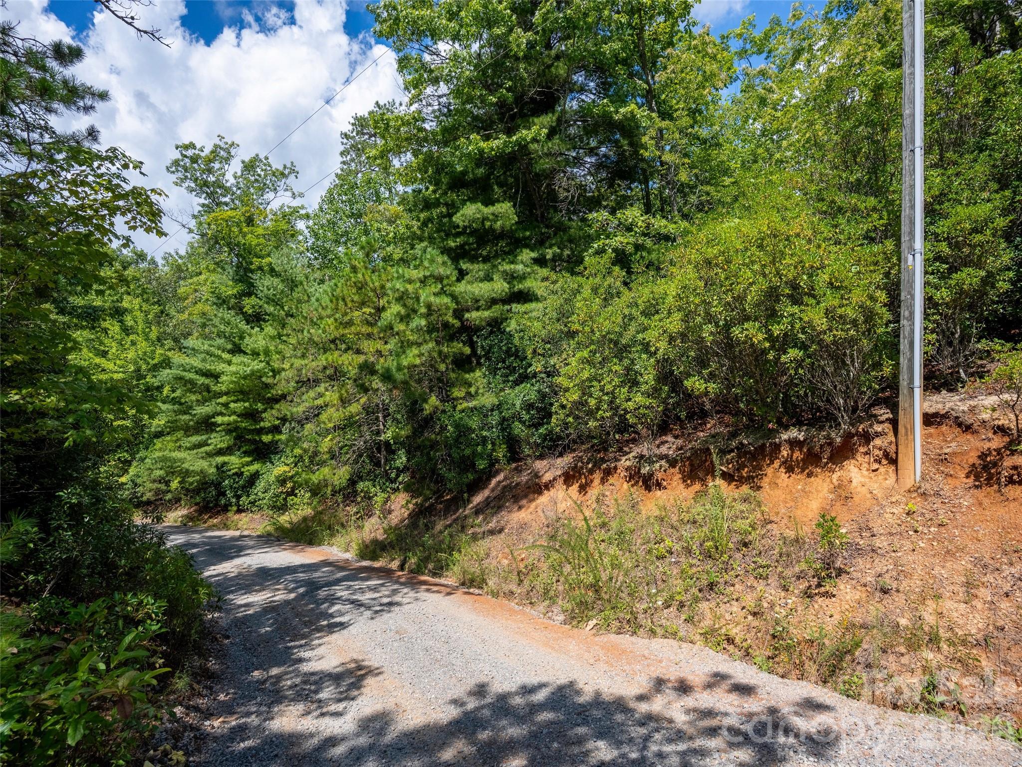 0 Miracle Valley Road Pisgah Forest, NC 28768 - Photo 5 of 18 Gallery Image 5