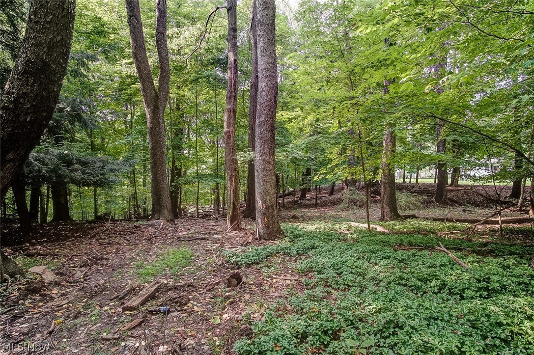 3444 Verner Road Kent, OH 44240 - Photo 22 of 23