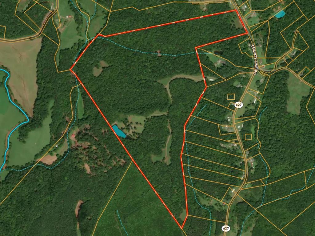 Tbd County Line Road Patrick Springs, VA 24133 - Photo 47 of 49 Gallery Image 47