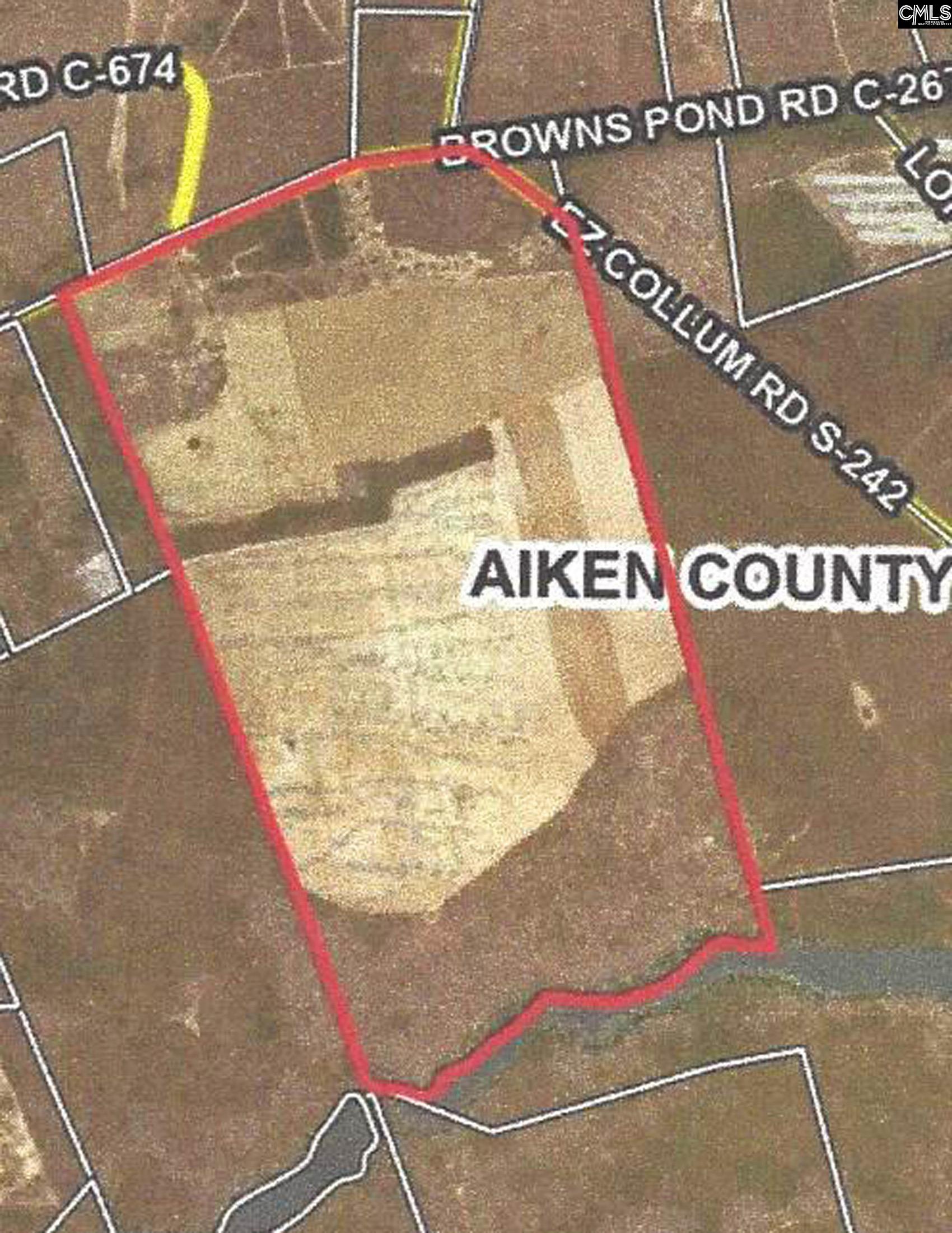 Tbd Browns Pond Road Wagener, SC 29164 - Photo 8 of 48