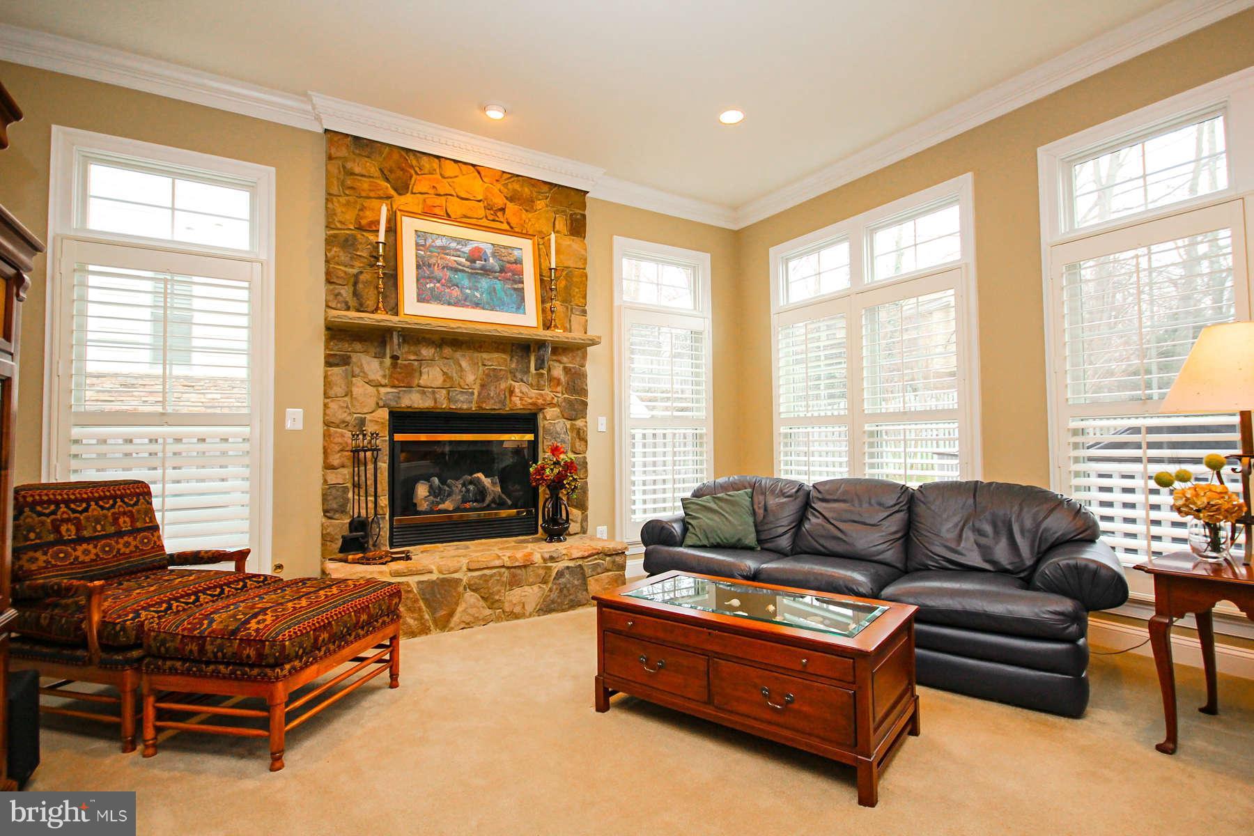 9157 Riesley Lane Vienna, VA 22182 - Photo 11 of 30 Family Room