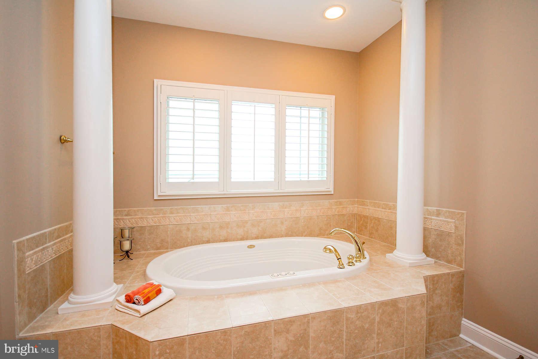 9157 Riesley Lane Vienna, VA 22182 - Photo 16 of 30 Bath (Master)