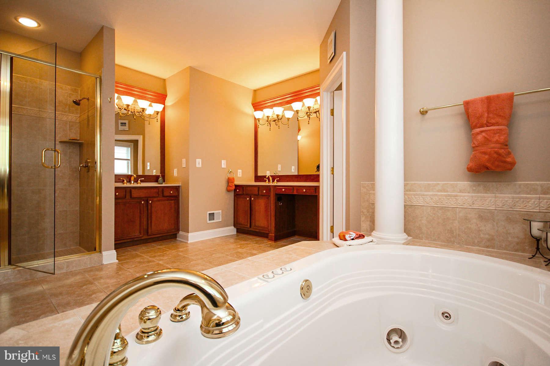 9157 Riesley Lane Vienna, VA 22182 - Photo 17 of 30 Bath (Master)