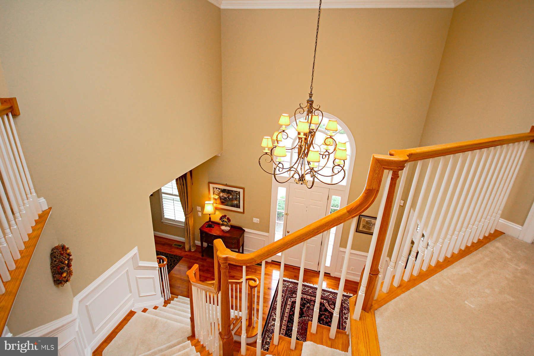 9157 Riesley Lane Vienna, VA 22182 - Photo 3 of 30 Interior (General)