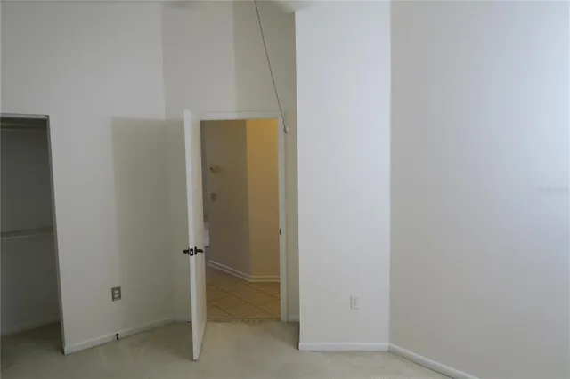 a view of a lake with palm trees