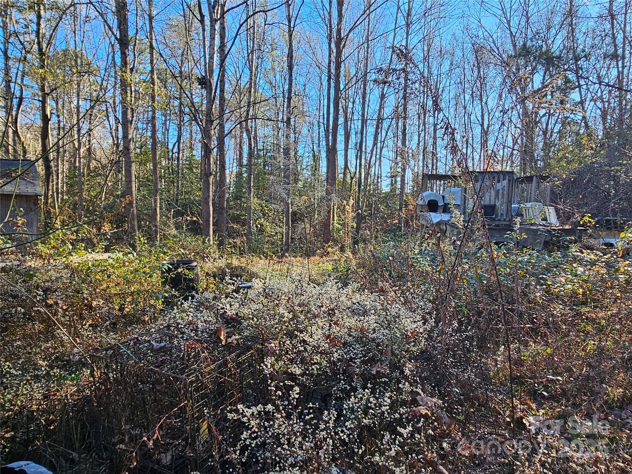 206 Benjamin Drive Dallas, NC 28034 - Photo 6 of 28