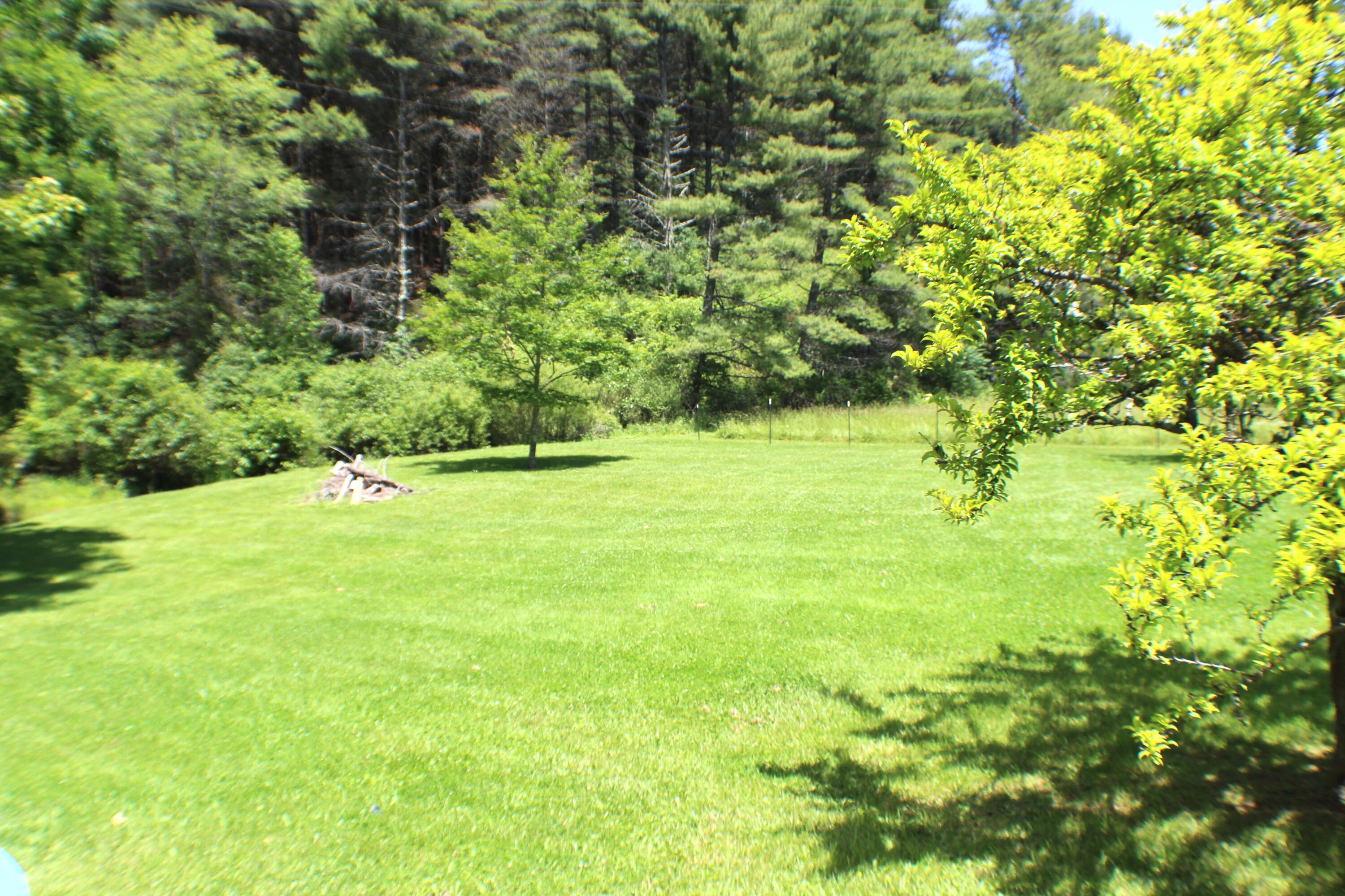 11923 Frost Road Dunmore, WV 24934 - Photo 14 of 29 Gallery Image 14