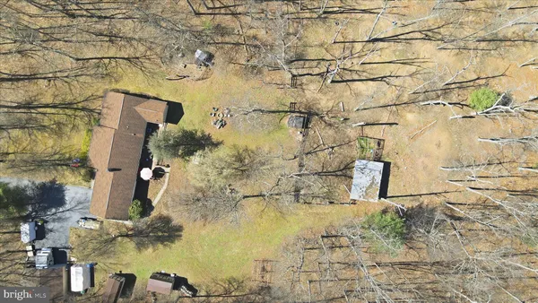 a close up of a plant